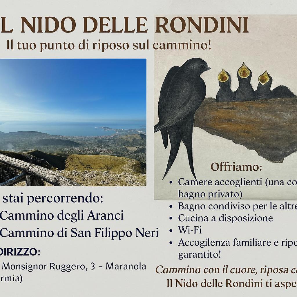 Il Nido Delle Rondini Daire Zinnowitz Dış mekan fotoğraf